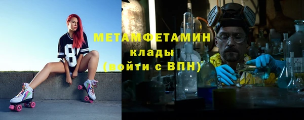 индика Горнозаводск