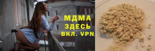 индика Горнозаводск