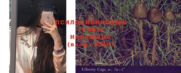 mix Вяземский