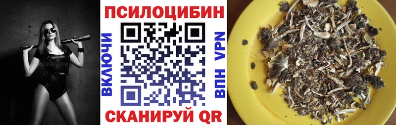 Галлюциногенные грибы мухоморы  Купить  Кемь 